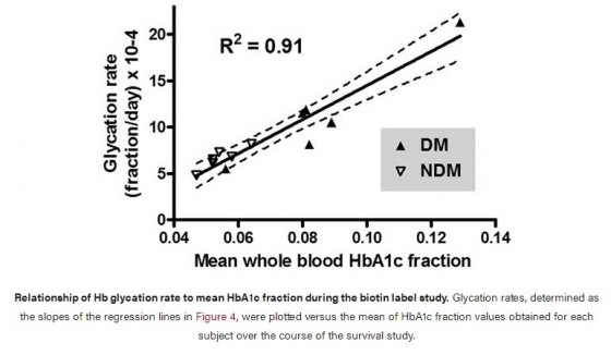 Red cell life span heterogeneity in hematologically normal people is sufficient to alter HbA1c