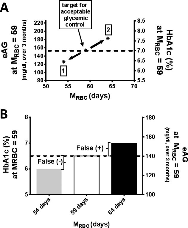 Use of an oral stable isotope label to confirm variation in red blood cell mean age that influences HbA1c interpretation