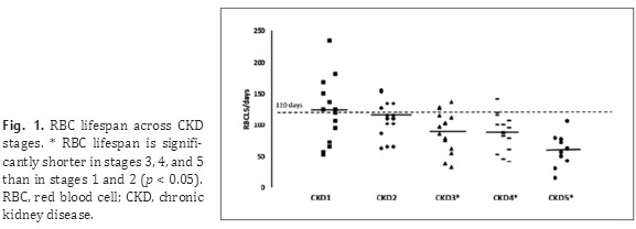 Red Blood Cell Lifespan Shortening in Patients with Early-Stage Chronic Kidney Disease