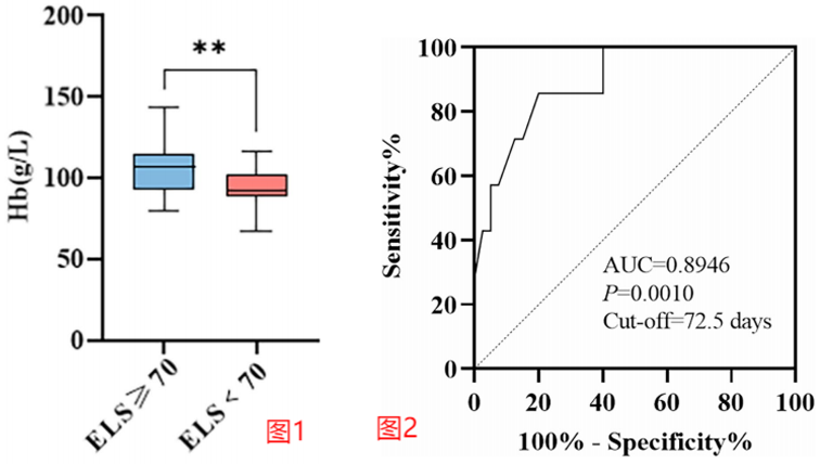 最新报道—《红细胞寿命预测晚期胃癌患者抗肿瘤治疗后中度及重度贫血：一项前瞻性研究》（译）2